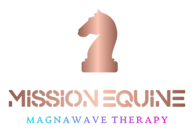 Mission Equine logo